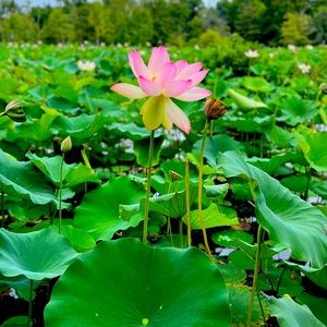 Extra shipping label